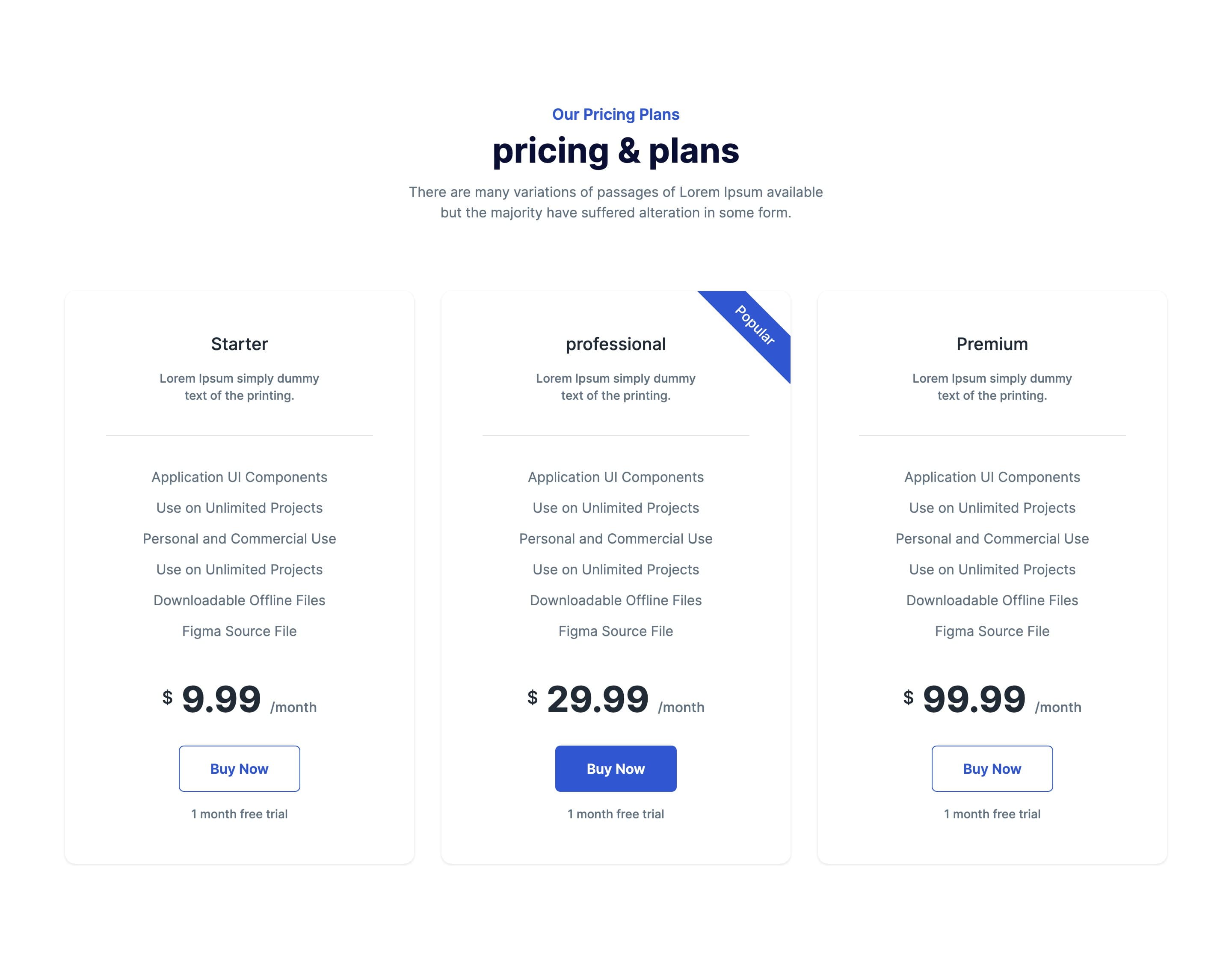 Pricing Plan with Highlight Badge